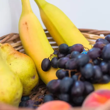 Hébergement de vacances Aelia